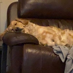 Meet your Posher, Christopher